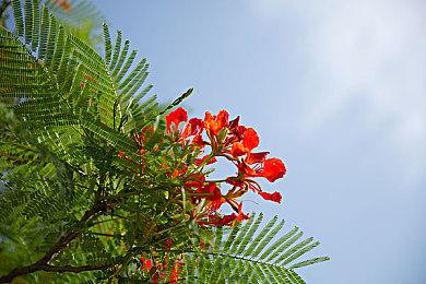 科幻RPG《无敌号》试玩Demo上线 支持简中